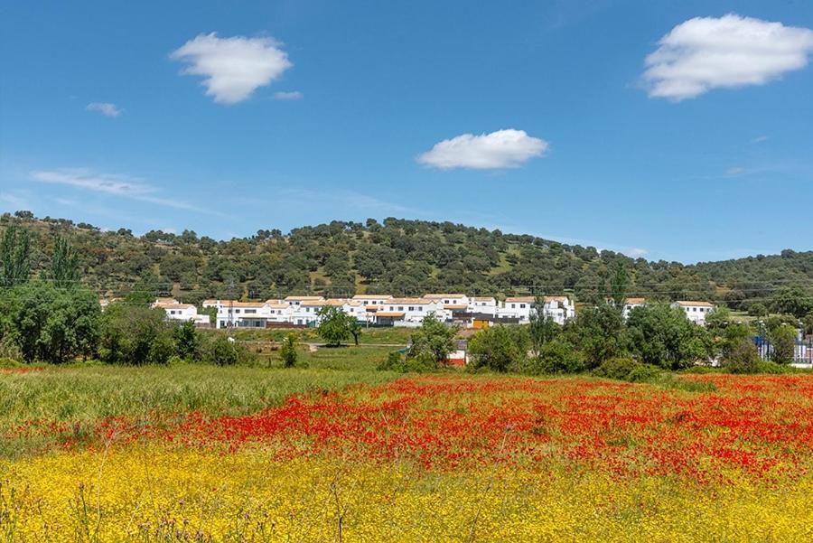 Casa Rural Nacimiento Del Hueznar - Tomillo 17 San Nicolás del Puerto Exteriér fotografie